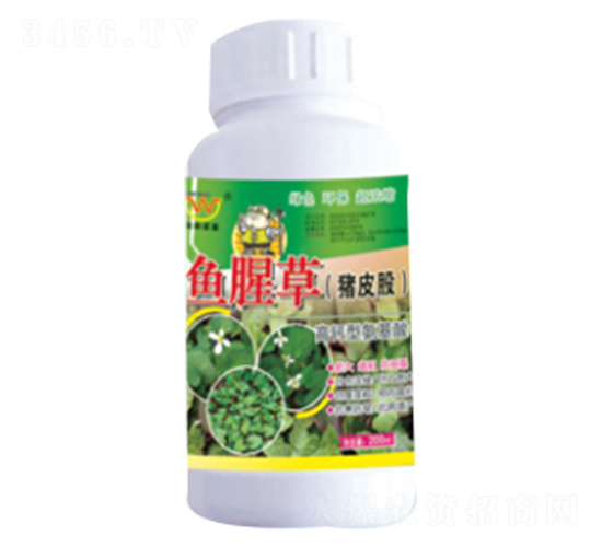魚(yú)腥草（豬皮股）專用氨基酸葉面肥-潤(rùn)田肥料