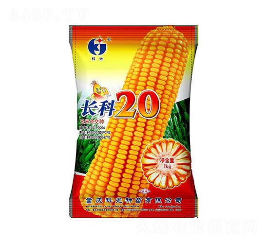 長(zhǎng)科20-科光種苗