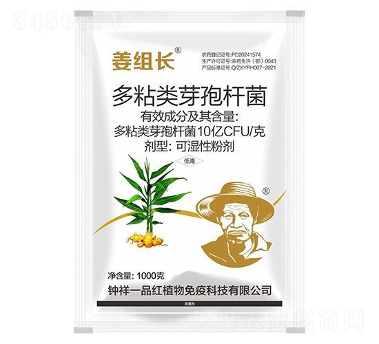多粘類芽孢桿菌-姜組長(zhǎng)-鐘祥一品紅