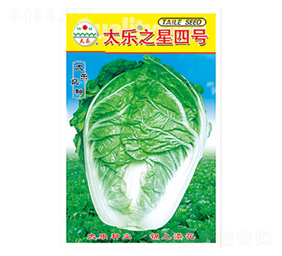 白菜種子-太樂(lè)之星四號(hào)-太樂(lè)種業(yè)