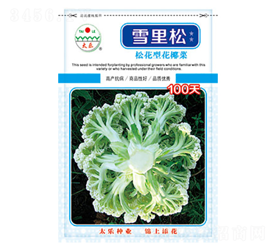 白花椰菜種子-雪里松100天-太樂(lè)種業(yè)