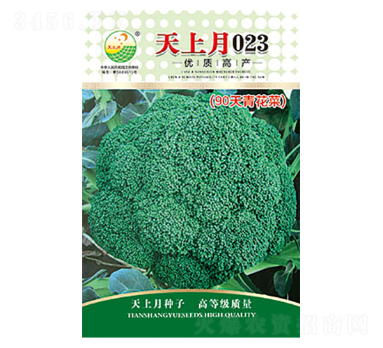 西蘭花種子-天上月023-太樂(lè)種業(yè)