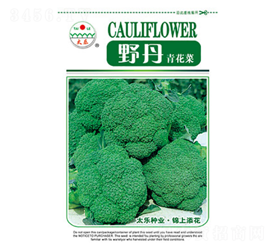 西蘭花種子-野丹-太樂(lè)種業(yè)