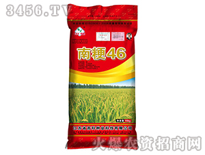 南粳46-水稻種子-高科種業(yè)
