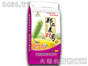 鄭品麥27號（15kg）-小麥種子-邦邦種業(yè)