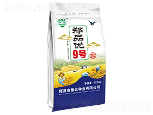 鄭品優(yōu)9號(hào)-小麥種子-豫北種業(yè)
