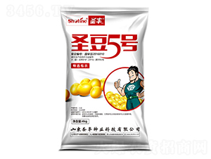 圣豆5號-大豆種子-圣豐種業(yè)
