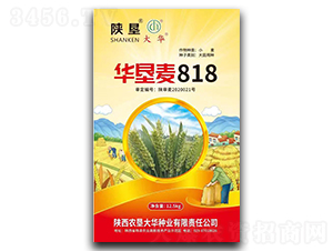 華墾麥818-小麥種子-陜墾大華