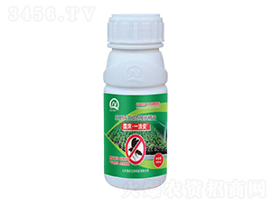 農(nóng)用殺蟲助劑樟腦精油-苗床·一涂安-強農(nóng)