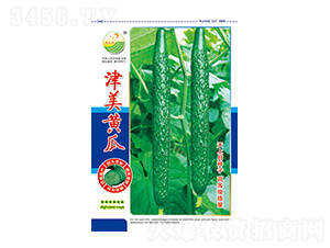 黃瓜種子-津美黃瓜-太樂種業(yè)