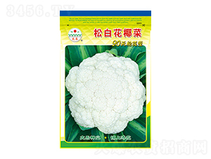 白花椰菜種子-松白花椰菜-太樂種業(yè)