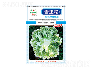白花椰菜種子-雪里松100天-太樂(lè)種業(yè)