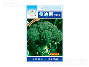 西蘭花種子-曼迪斯-太樂種業(yè)