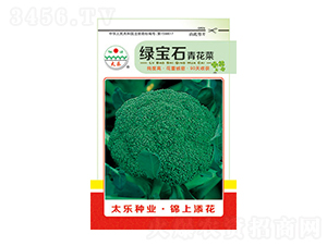 西蘭花種子-綠寶石-太樂種業(yè)